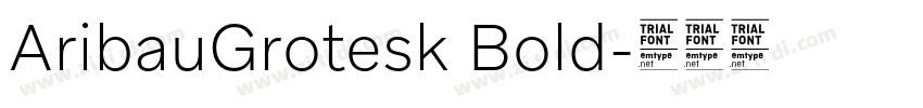 AribauGrotesk Bold字体转换